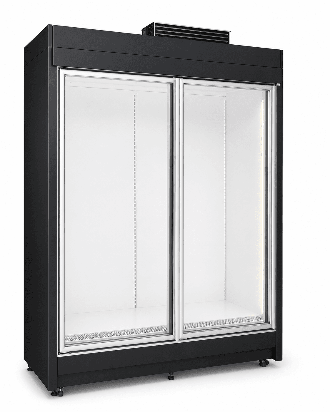 Congelator Vertical Dublu 2 usi